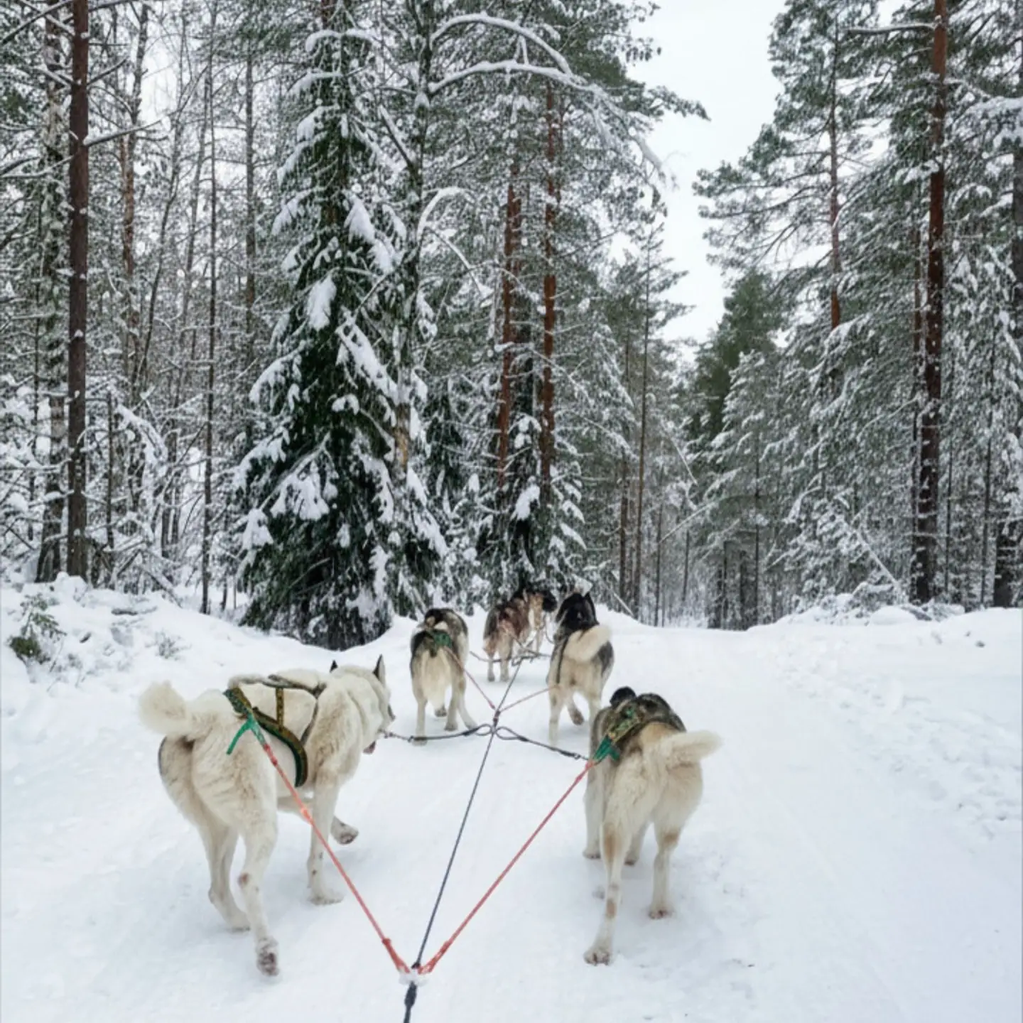 Finland, Tuusula
